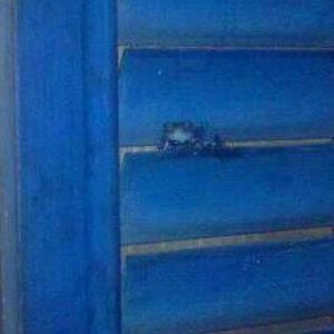 Meet your Posher, Jen